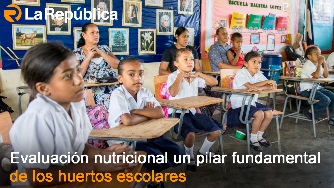 Evaluación nutricional un pilar fundamental de los huertos escolares - Cover Image